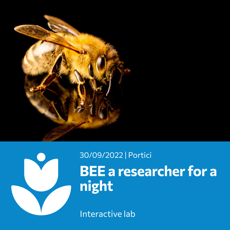 BEE a researcher for a night