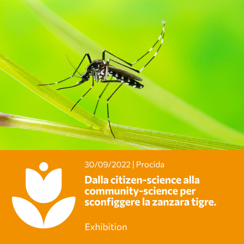 Dalla Citizen-science alla Community-science per sconfiggere la zanzara tigre.