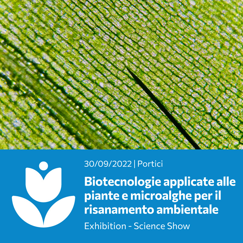 Biotecnologie applicate alle piante e microalghe per il risanamento ambientale