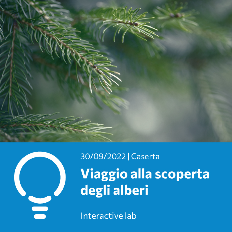 Viaggio alla scoperta degli alberi